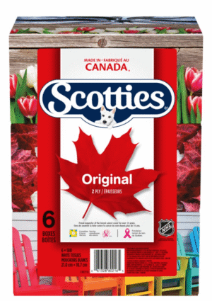 Wholesale Scotties FT 6Pack 2Ply 100 Sheets (100s)