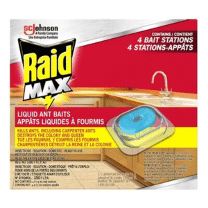 Wholesale Raid Ant Baits (4's)