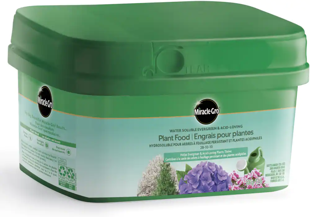 Wholesale Miracle-Gro Water Soluble EG & Acid  Plant Food 28-10-10 (500g)