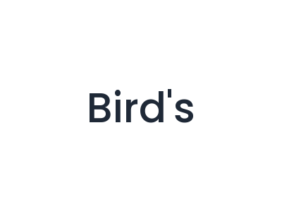 Bird's