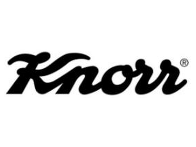 Knorr